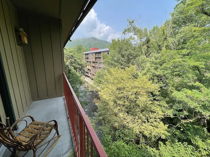 Black Bear Inn & Suites 4