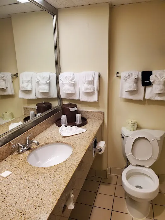 Black Bear Inn & Suites 4