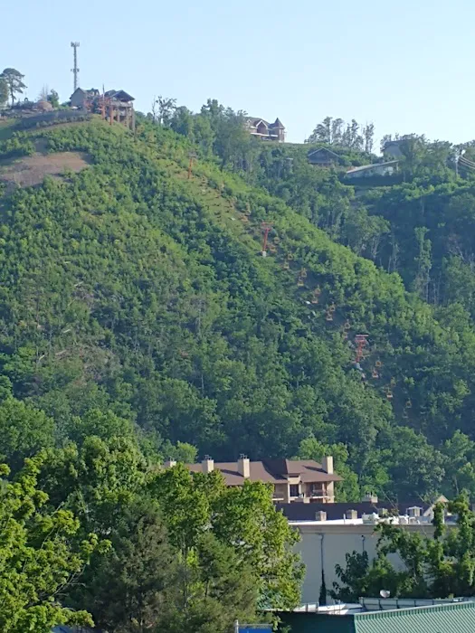 Black Bear Inn & Suites 4