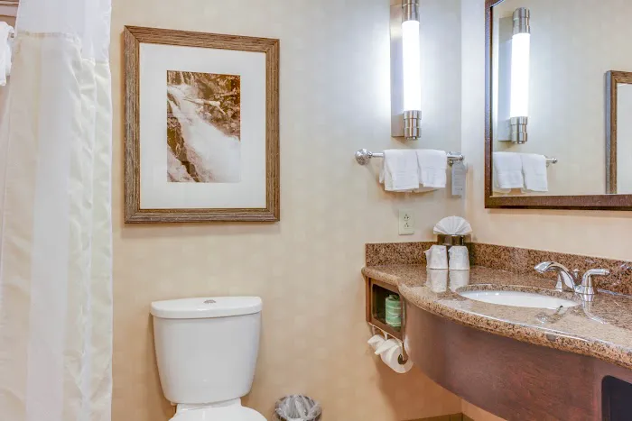 Hilton Garden Inn Gatlinburg 4