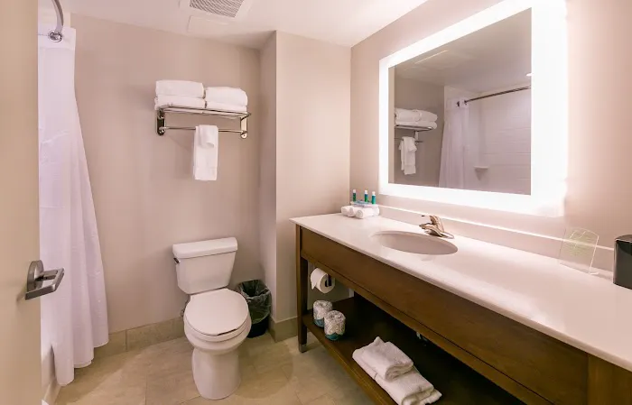 Holiday Inn Express Gatlinburg Downtown by IHG 4