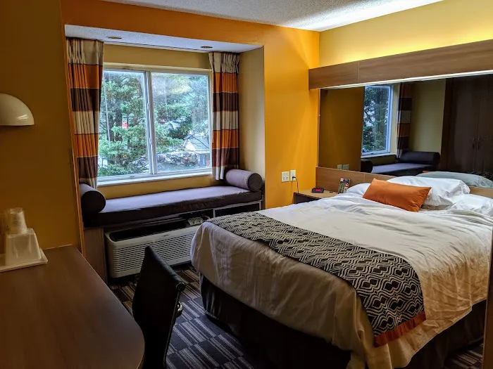 Microtel Inn & Suites by Wyndham Gatlinburg 4