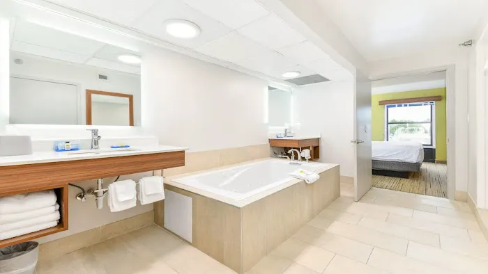 Holiday Inn Express & Suites Pigeon Forge/Near Dollywood by IHG 4
