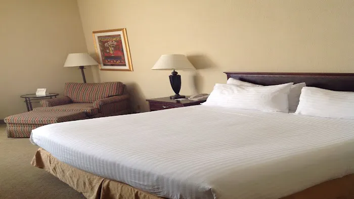 Holiday Inn Express & Suites Pigeon Forge/Near Dollywood by IHG 4