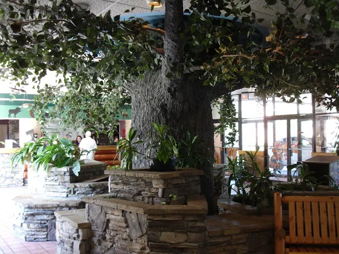 Grand Smokies Resort Lodge 4