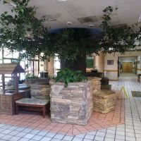 Grand Smokies Resort Lodge ico
