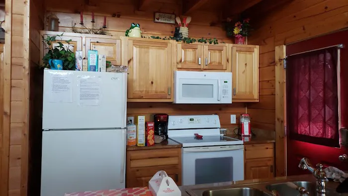 Ain't Misbehavin Cabin 4