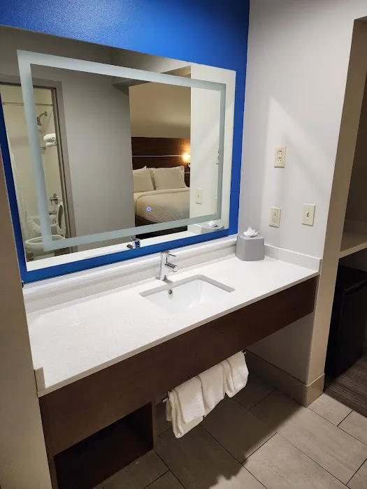 Holiday Inn Express & Suites Pigeon Forge - Sevierville by IHG 4