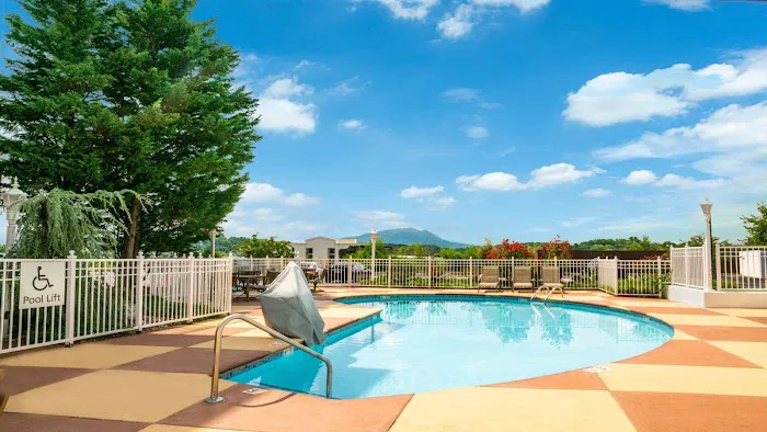 Holiday Inn Express & Suites Pigeon Forge - Sevierville by IHG 4