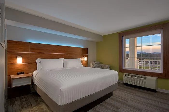 Holiday Inn Express & Suites Pigeon Forge - Sevierville by IHG 4