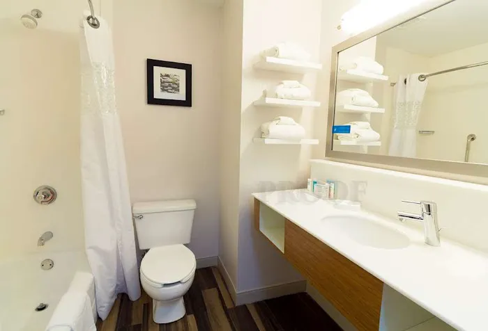 Hampton Inn Sevierville 4