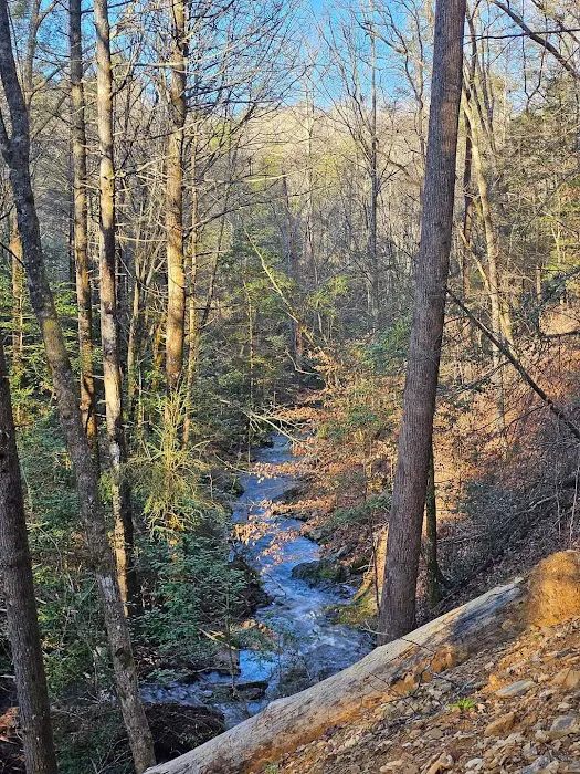Wanderlust Woods 4