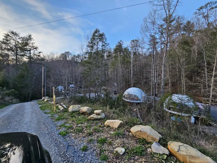Wanderlust Woods 4