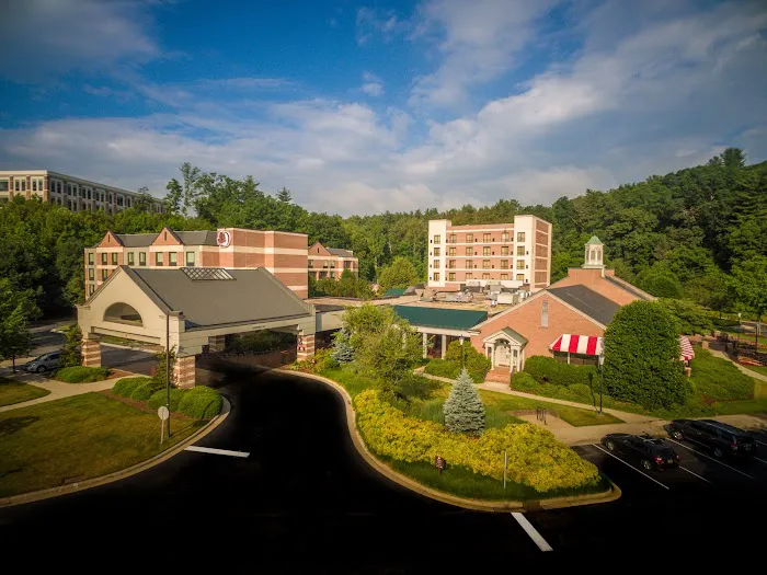 DoubleTree by Hilton Hotel Asheville - Biltmore 4