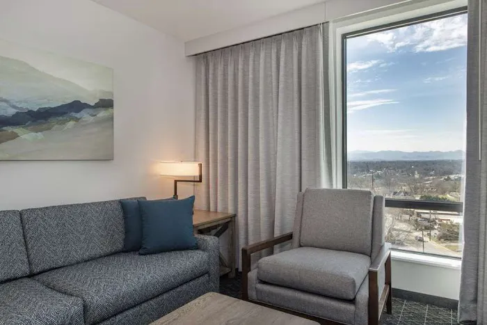 Embassy Suites by Hilton Asheville Downtown 5