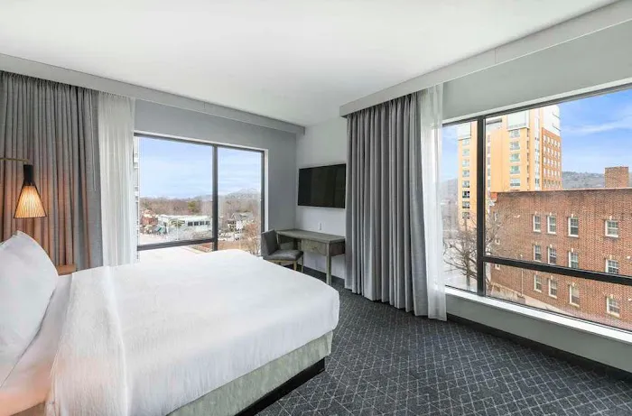 Embassy Suites by Hilton Asheville Downtown 5