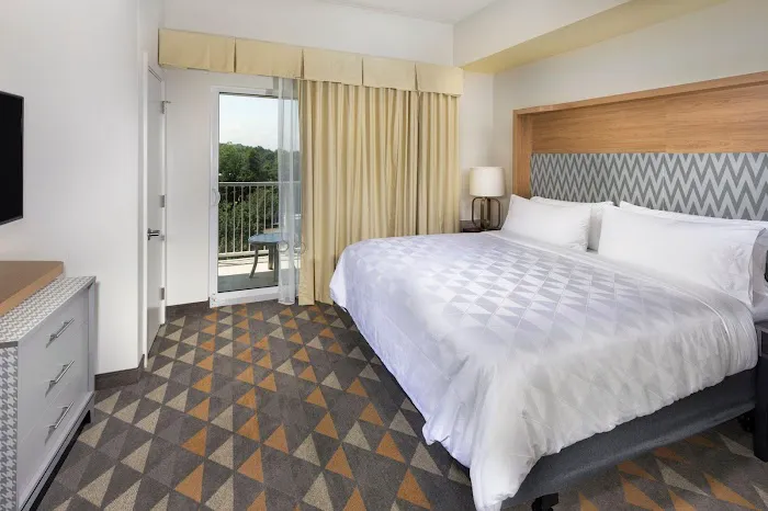 Holiday Inn & Suites Arden - Asheville Airport by IHG 5