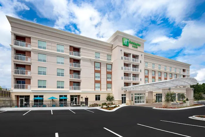 Holiday Inn & Suites Arden - Asheville Airport by IHG 5