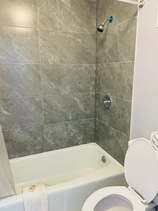 Royal Inn Spartanburg Business 85 4