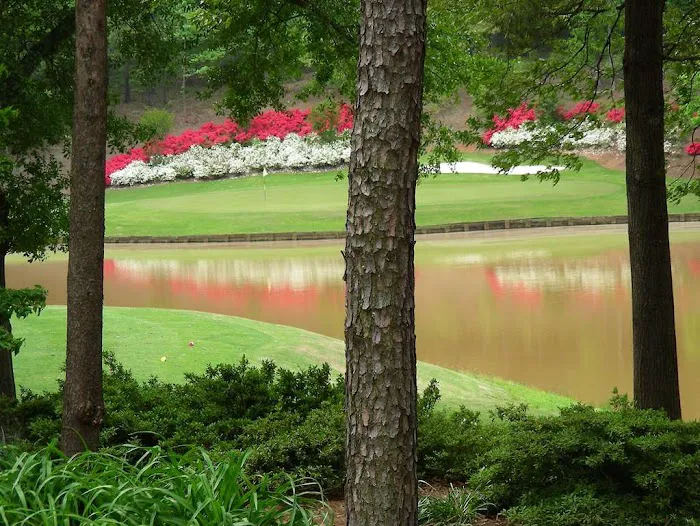 Embassy Suites by Hilton Greenville Golf Resort & Conference Center 4
