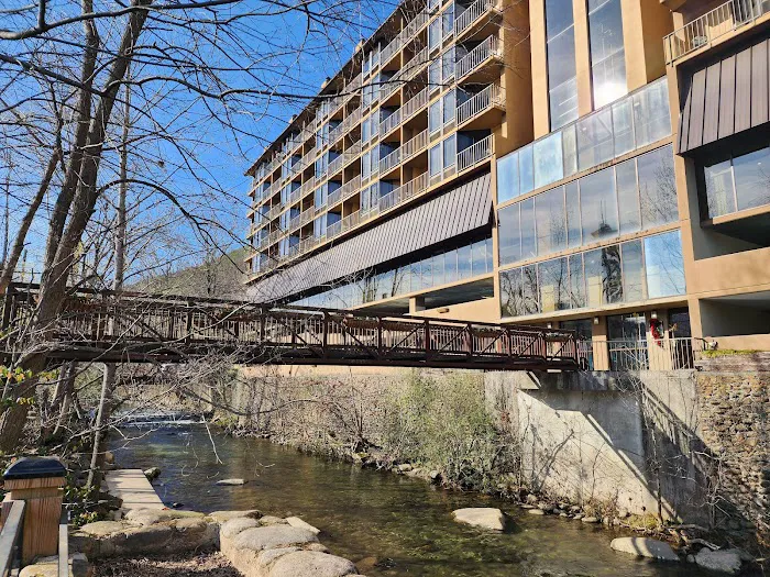 Edgewater Hotel and Conference Center Gatlinburg 4