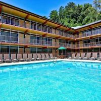 Wild Bear Inn ico