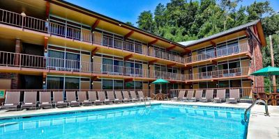 Wild Bear Inn
