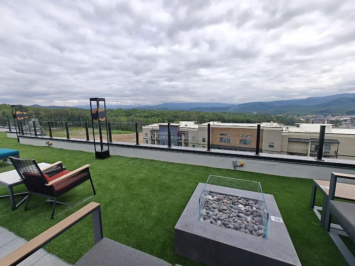 Embassy Suites by Hilton Pigeon Forge Resort 4