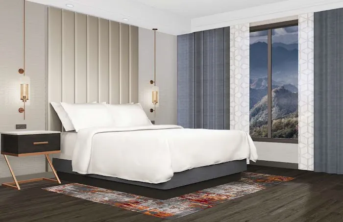 Embassy Suites by Hilton Pigeon Forge Resort 4