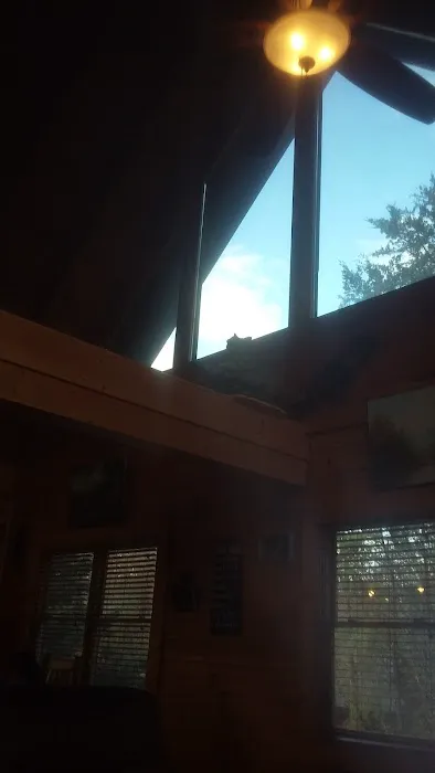 Lookout Bear 4