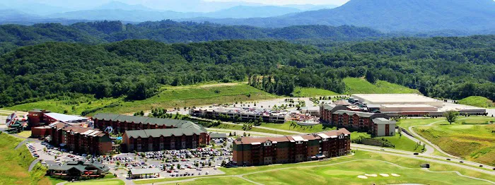Wilderness at the Smokies 4