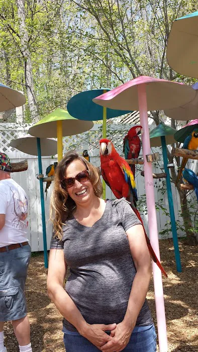 Smokey Mountain Getaways 4