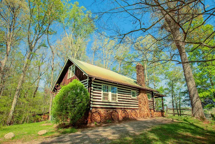 Nolichuckey Bluffs Cabins 4