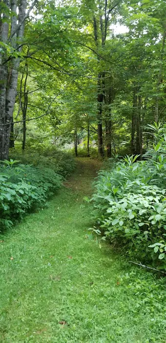Holyfield Cabin and Bunkhouse 4
