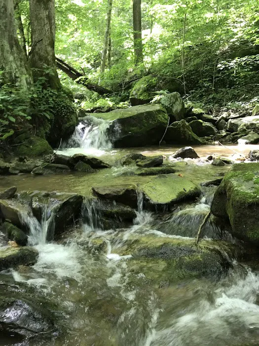 Holyfield Hideaway 4
