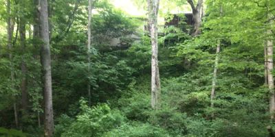 Holyfield Hideaway