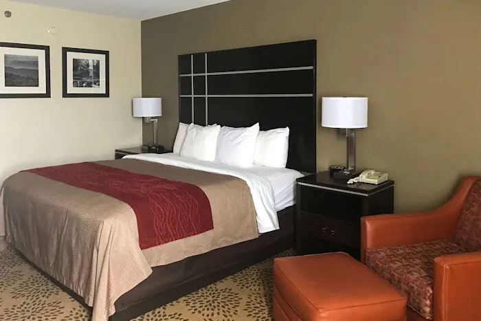 Comfort Inn North of Asheville 4