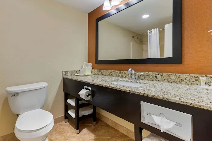 Comfort Inn North of Asheville 4