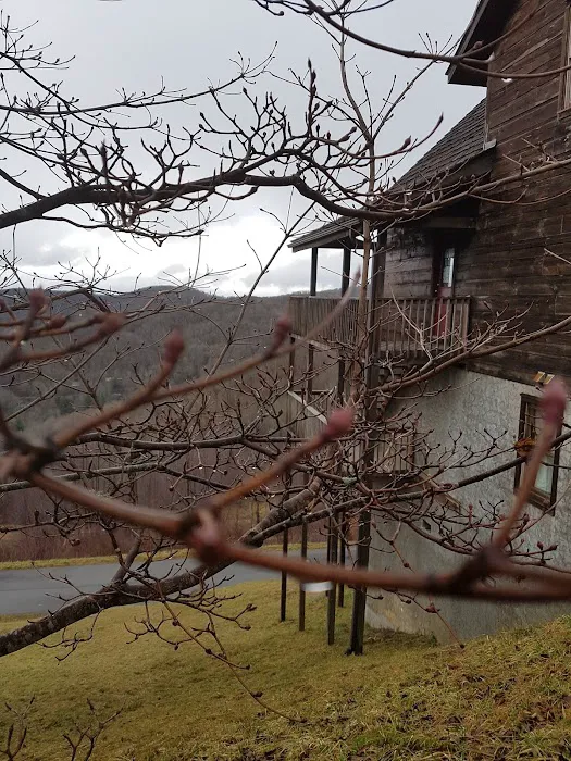 Wolf Mountain Scenic Resort 4