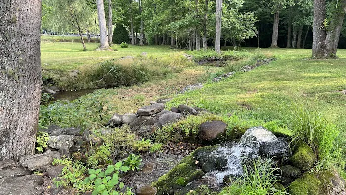 Laurel Springs Resort 4