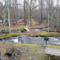Laurel Springs Resort ico