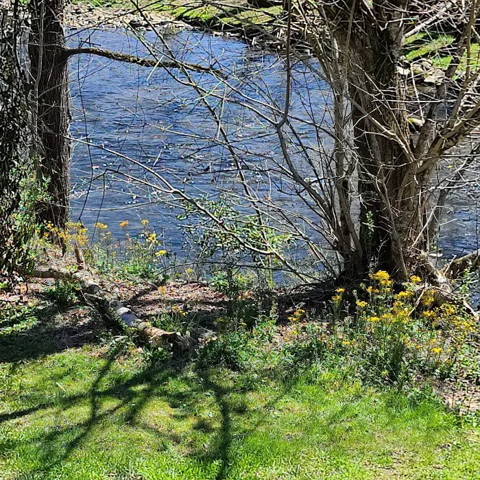 Country Life Cramers Creekside Cabin 4