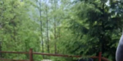 Bear Foot Mountain Resort, LLC