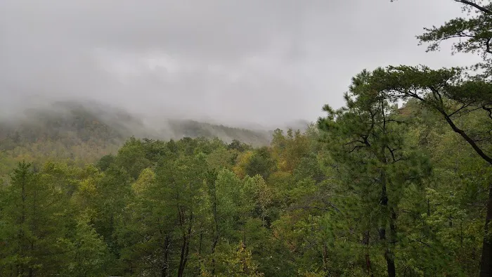 Bear Foot Mountain Resort, LLC 4