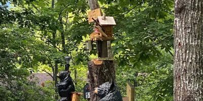 Gone Fishing Cabin