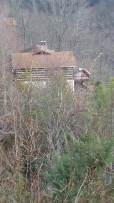 Bear Heaven Cabin 4