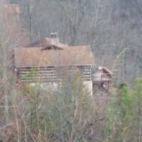 Bear Heaven Cabin ico