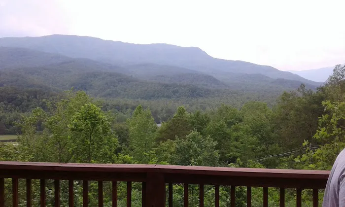 Bear Heaven Cabin 4