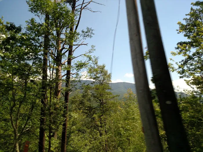 Bear Heaven Cabin 4