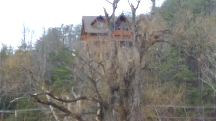 Bear Heaven Cabin 4